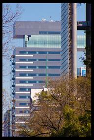 paseo de la reforma